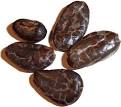 Incredible raw organic <b>cacao</b>