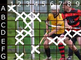 Image result for Ballachulish Shinty Club