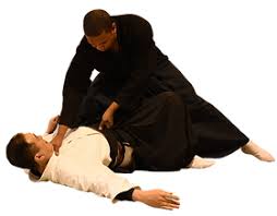 Image result for A BRITISH JUJITSU RYU in Lancing