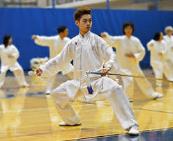 Image result for Wushu Tai Chi Club