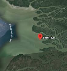 Image result for Slough Pirates