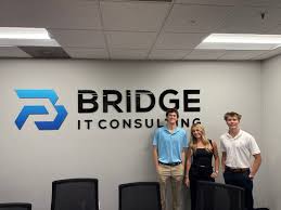 Image result for Bridge It