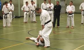 Image result for Windsor Higashi Karate Club