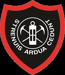 Image result for Dundee Juniors