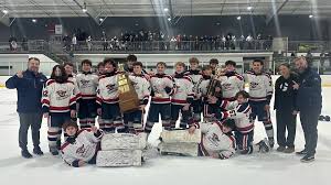 Image result for Plymouth Marjon Hockey Club