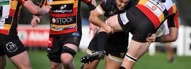 Image result for Esher Rugby Football Club