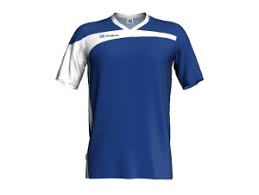 Image result for Ashby Ivanhoe Judo Club