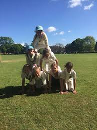 Image result for St James casuals cricket club