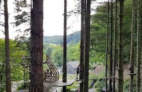 Image result for Go Ape! Grizedale