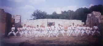 Image result for Tsunami Karate Club