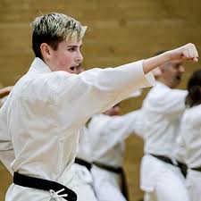Image result for Devonport Shotokan Karate Club