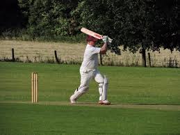 Image result for Woodmansterne Cricket Club