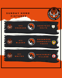 Image result for Mayford Athletic Football Club