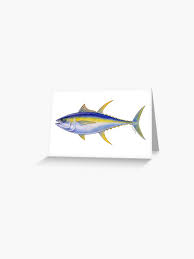 Image result for Thunnus albacares
