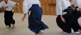 Image result for Aikido - Takama Hara Aikido Dojo