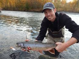 Image result for Salvelinus alpinus taranetzi