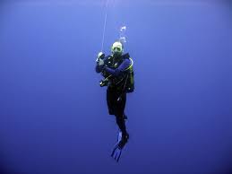 Image result for Splash Divers Sub Sub Aqua Club