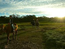 Image result for The Riding Centre
