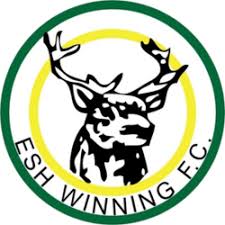 Image result for Esh Winning Cricket Club