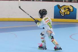 Image result for Vipers Roller Hockey Team