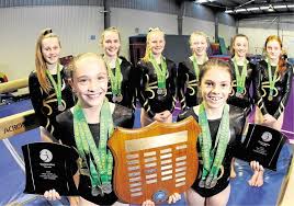 Image result for Zodiac Gymnastics Club