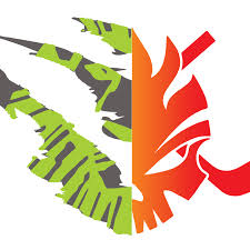 Image result for Manchester Roller Hockey Club