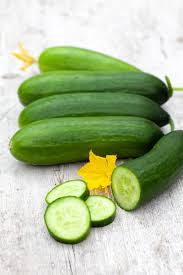 Image result for Helichrysum subulifolium