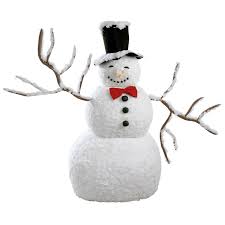 Image result for Schneemann