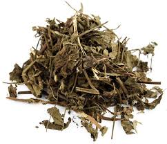 Attēlu rezultāti vaicājumam “Agrimonia pilosa”