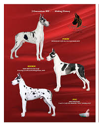 Image result for Harlequin Gc