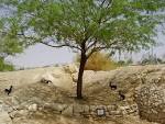 File:PikiWiki Israel 5090 sappir park in aravah valley.jpg ...