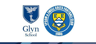 Image result for Epsom & Ewell Football Club