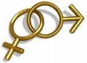 Gender | SAfAIDS