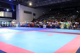 Image result for London Colney Tae Kwon Do  (I.T.F. / LTSI / A.F.T.)