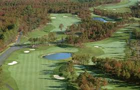 Image result for Plymouth Swallows Gc