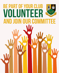 Image result for Stony Stratford Cc