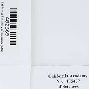 Attēlu rezultāti vaicājumam “Orthotrichum, Nyholmiella”