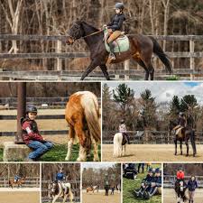 Image result for Old Park Riding Stables