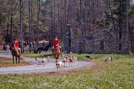 Image result for South Weylands Equestrian