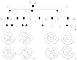 Image result for Seishin Jc