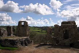 Image result for Narberth Cricket Club