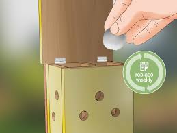 Image result for ladybug house