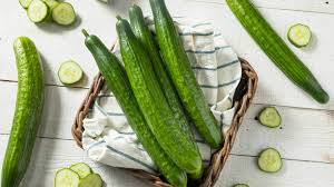 Cucumbers vegetable