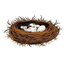 Attēlu rezultāti vaicājumam “nest”