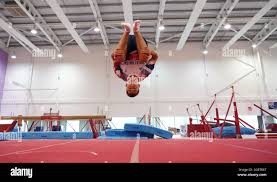 Image result for South Essex Gymnastics Club