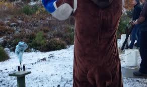 Image result for Hemsworth & District Clay Pigeon Club