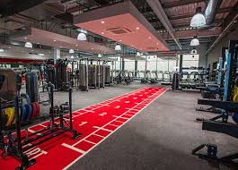 Image result for Weybourne Gym Club