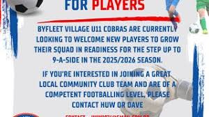 Image result for Byfleet Village Football Club