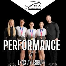 Image result for Lynx Gymnastics Club