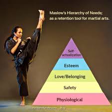 Image result for Pyramid martial arts